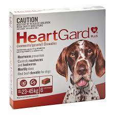 We did not find results for: Heartgard Plus Chew For Large Dogs Brown 6pk Petbarn