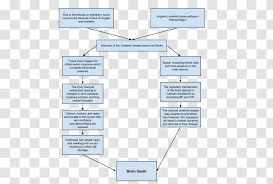 All right guys, let's work through an example nursing care plan for a patient who's had a stroke. Stroke Cerebrovascular Disease Nursing Care Plan Dysarthria Elderly Transparent Png