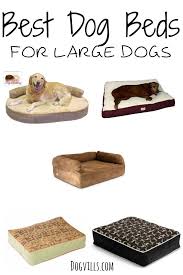 best dog beds for large dogs cool dog beds dog bed dog bed large