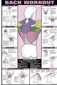 Weight Training Back Workout To Give Definition To The Muscles And Make Them Pop Virileman5 Givingbackmass Workout Posters Back Workout Men Dumbbell Workout