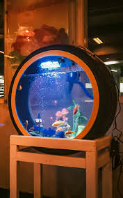 #aquascapemini | cara membuat aquarium dari barang bekas untuk ikan cupang. Akuarium Ban Bekas Dari Klaten Dipesan Artis Hingga Istana Merdeka Merdeka Com