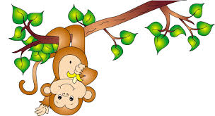 Image result for monkey picture cartoon