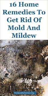 16 Home Remedies To Get Rid Of Mold Mould And Mildew Get Rid Of Mold Mold Remover Mold In Basement