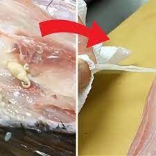 Disgusting Footage Of Fish Riddled With Parasites Will Make You Never Eat Sushi Again Daily Star Fishing the ponds, lakes, rivers, and creeks from the mid west and beyond! disgusting footage of fish riddled with