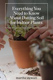 Everything You Need To Know About Potting Soil For Indoor Plants Indoor Plants Potting Soil House Plant Pots