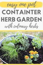 How To Plant A One Container Herb Garden Outdoor Herb Garden Container Herb Garden Herb Garden In Kitchen