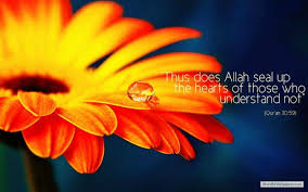 Free Download Beautiful Islamic Quotes Beautiful Islamic Quotes Quran Islamic Quotes
