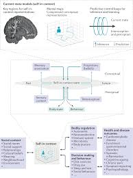 The Self In Context Brain Systems Linking Mental And Physical Health Nature Reviews Neuroscience