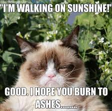 Walking On Sunshine Quotes Quotesgram