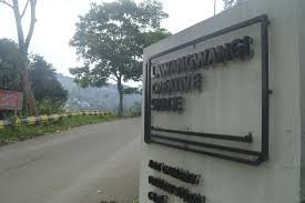 Bentuknya yang unik menjadi karakteristik bunga ini sehingga mudah dikenali. Lawangwangi Creative Space Tempat Asik Untuk Santai Destinasi Bandung