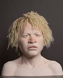 William Traver Gallery