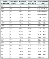 rug measurement guide chily co