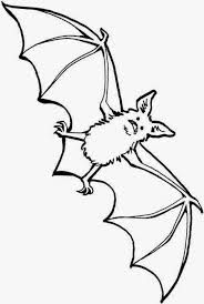 Desene de colorat cu flori de liliac. Fise De Lucru Gradinita Imagini De Colorat Cu Lilieci Halloween