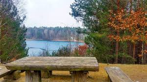Die zeiten des kundendienstes können unterschiedlich ausfallen. Wandern Unterwegs Zum Felixsee Bei Spremberg