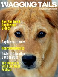 Our goai is to save those who are urgent at the sheiter, those who are hurt or abandoned, and those who have been abused and forgotten. Wagging Tails Magazine For Android Apk Download