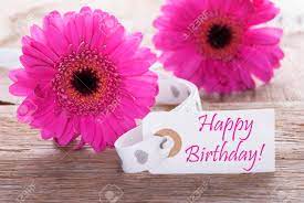 Maybe you would like to learn more about one of these? Con Etiquetar Ingles Texto Del Feliz Cumpleanos Pink Gerbera Flor De La Primavera Vintage Rutic O Fondo De Madera Envejecida Tarjeta Para Saludos De La Primavera Fotos Retratos Imagenes Y Fotografia De