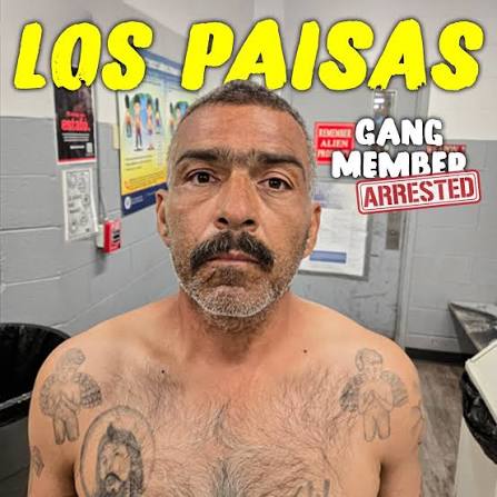EL PASO, TX- On 12/2, a Los Paisas gang member thought he was slick-  crawling under concertina wire then trying to conceal himself near some  heavy equipment. Agents apprehended him, and he