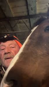 A big beautiful heart in a cruel world takes courage ❤️👊💪 ne of my  favorite shoots from this year. Photos; @gallantimages Location: @Spinwurkz  Motorcycles Bike: Scott Wallaby @derelict_motor_werks Model: @AmandaSnooks  Location: @Spinwurkz