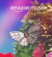 This reminds me of taylor posts are insufficient oh noo. There S A Cruel Summer Butterfly In The Amazon Add It Might Be The Next Single Taylorswift