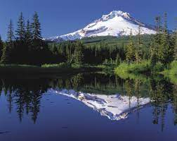 The laws of reflection of light are explained here. Reflection Physics Wikipedia