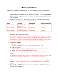 By printing out this quiz and taking it with pen and paper. Muscles Worksheet Answers