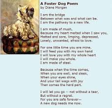 Foster Dog Poem Dog Rescue And Adoption Dog Poems Foster Dog Pet Poems
