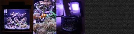 10 best led aquarium lighting for corals reviewed. Diy Led Aquapod Reef Tank