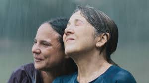 TIFF '24: A Dozen Capsules and Final Farewells