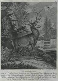 Jagd Hirsche Die Zvab