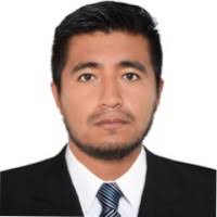 20+ perfiles de «Nelson Choque»