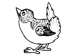 Malvorlage Kleiner Vogel Kostenlose Ausmalbilder Zum Ausdrucken