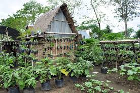 Changing The Face Of Poverty Cottage Garden Bahay Kubo Outdoor Structures