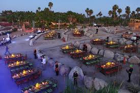 Todos los detalles sobre los procedimientos de reembolso. Explore The Wonders Of Wirikuta Cactus Gardens Los Cabos Fiesta Americana Cabo Cabo