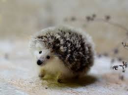 This Is The Cutest Handmade Hedgehog I Have Ever Seen Hedgehog Stuffed Animal Ready To Ship Ooak Art Ooak Art Doll Animal Sculptures Sewing Stuffed Animals