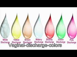 The amount of vaginal discharge churned out varies during different phases and days of your menstrual cycle. Pin On Places To Visit