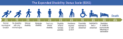 Ms Progression