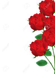 Confession letter red rose white stationery simple romantic style background. Rose Flower Background Royalty Free Cliparts Vectors And Stock Illustration Image 38529150