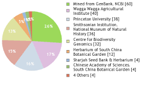 Image result for Chloris mossambicensis