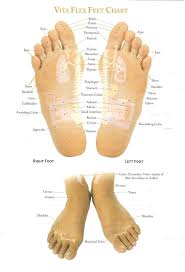 young living vita flex foot chart best picture of chart