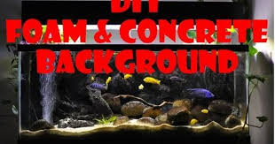 Background of different colorful coral underwater in aquarium. Pin On Discus Aquarium