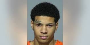 Milwaukee park shooting wounds mother, boy; man to pay restitution