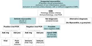 If myocarditis is causing heart failure or arrhythmias, your doctor might hospitalize you and prescribe drugs or allan ck, et al. Immune Mediated And Autoimmune Myocarditis Clinical Presentation Diagnosis And Management Springerlink