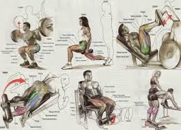 Workout Chart Large Printable Pdf Bodybuilding Legs