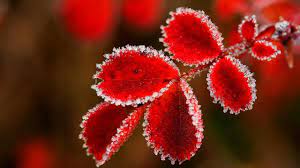 Vi har spurt flere kjente fjes om å fortelle om en fordom de har fått motbevist. Varsellamper Det Er Viktig A Vite Noe Om For Ikke A Mote Veggen