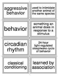 Flash Cards Covering Animal Behavior For Biology Ii Study Flashcards Math Blog Flashcards