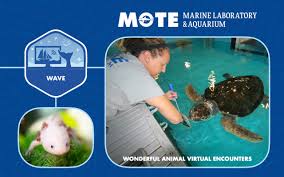 Center for Interactive Learning - Content Provider Program
