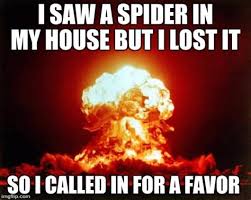 The captions typically take the perspective of a benevolent. I Saw A Spider Memes