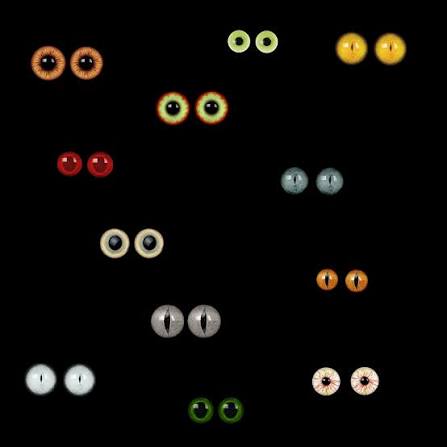 File:Halloween-eyes-in-the-night.jpg - Wikipedia