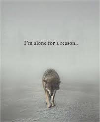 I M Alone For A Reason Quotes Nd Notes Facebook
