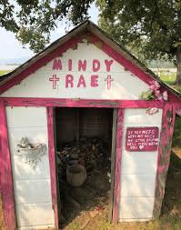 Mindy Rae Johnson (1994-1994)